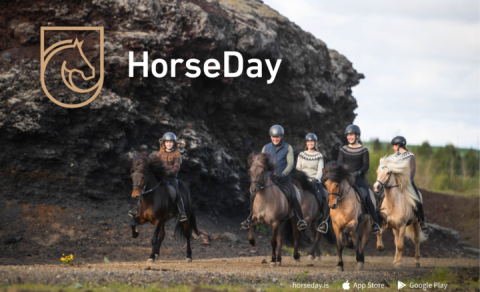 Never miss a beat with HorseDay!